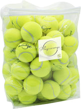Load image into Gallery viewer, Tennis Balls, 60 Pack Advanced Training Tennis Balls Practice Balls, Pet Dog Playing Balls,Good for Beginner Training Ball